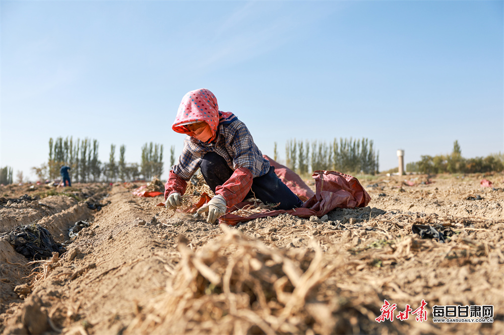 Grand National: Race times, schedule & BBC coverage
