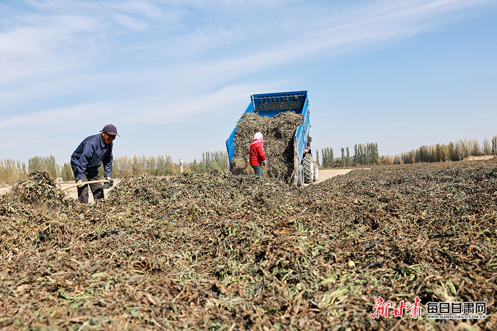 Horne credits coach Smith for record Glasgow try haul