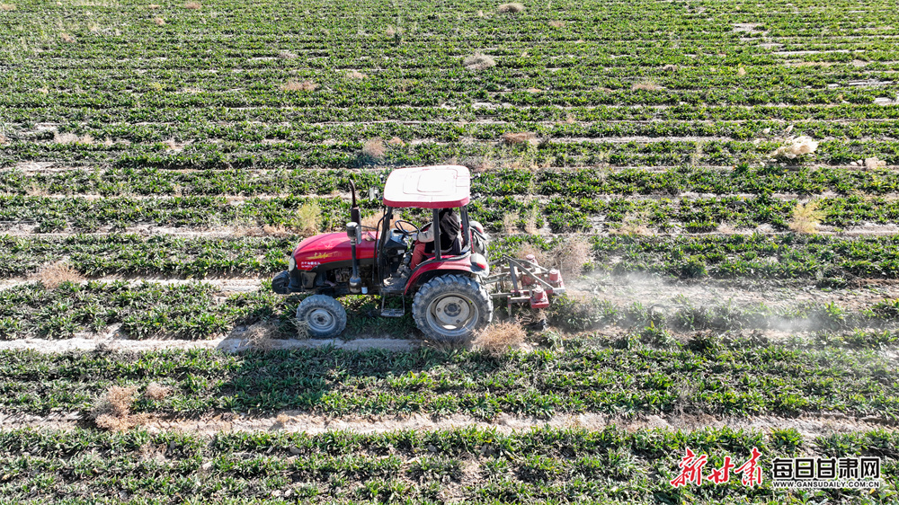 上海万科锦源（上海万科锦源怎么样）