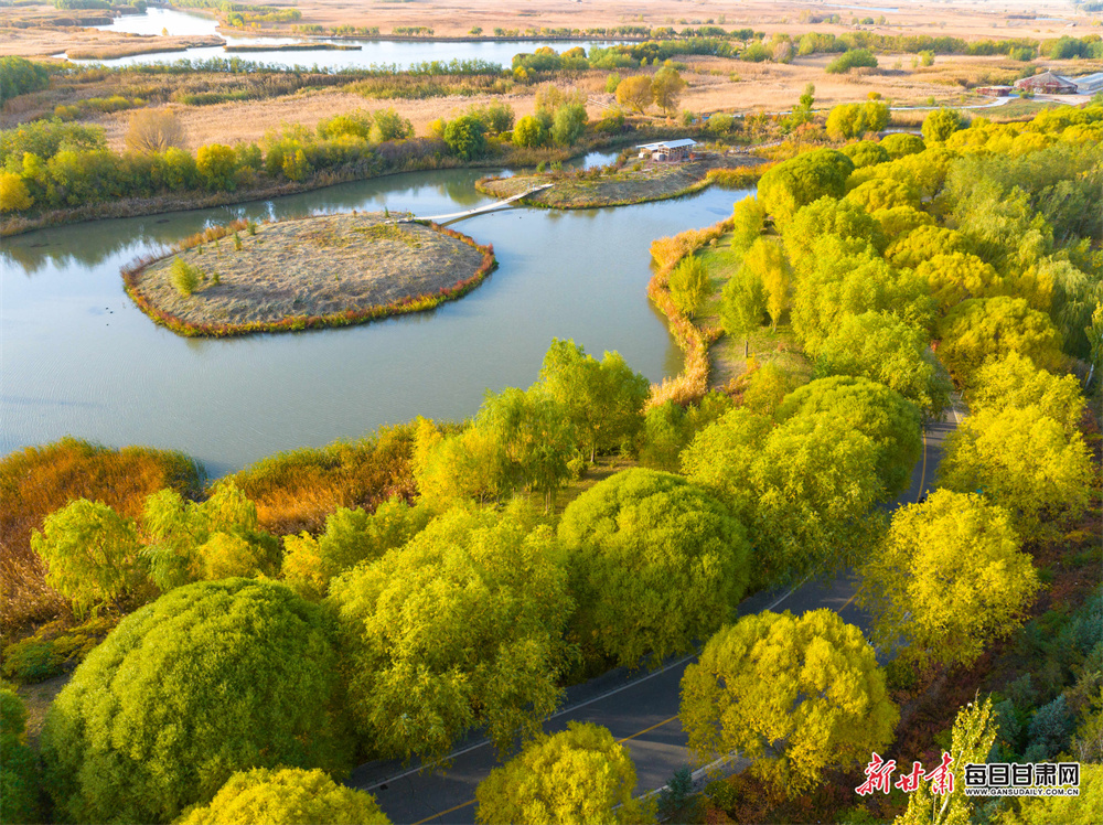 南京单身公寓租房（南京单身公寓租房价格）