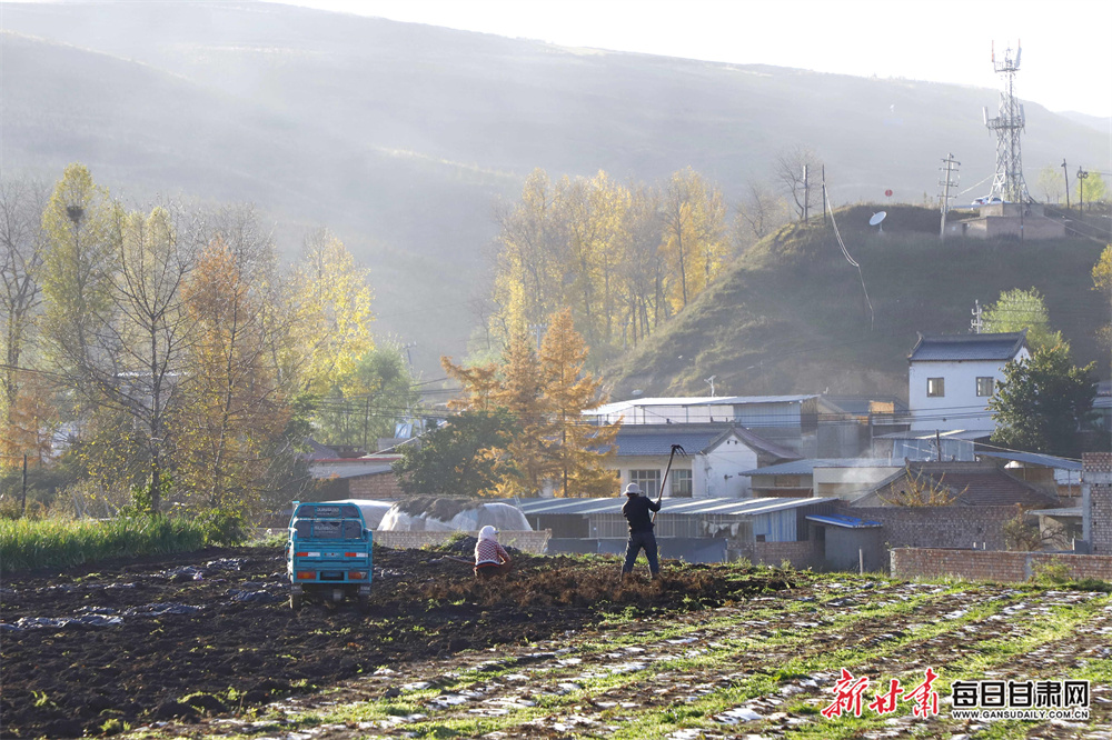 Calgary move came at 'right time' for NI's Burns