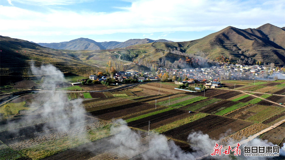 How robots should be copying ants