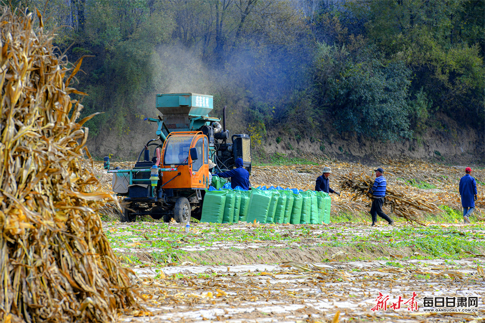 Buskers are 'psychological torture' says judge