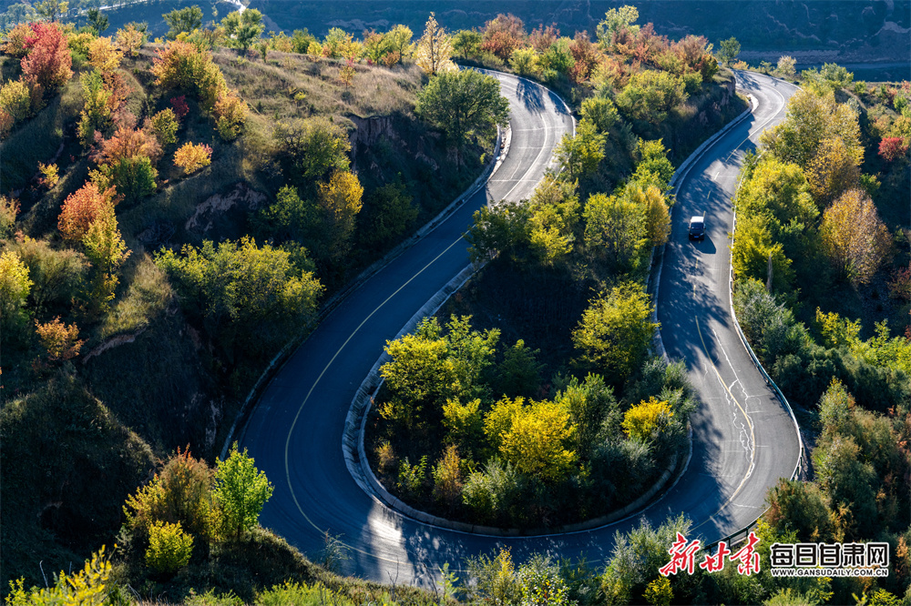 独栋别墅（独栋别墅外观图片）