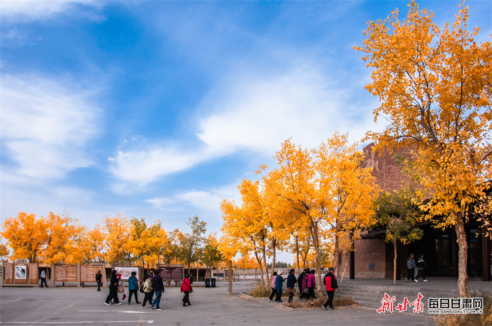 Two women die and two children injured in Cork crash