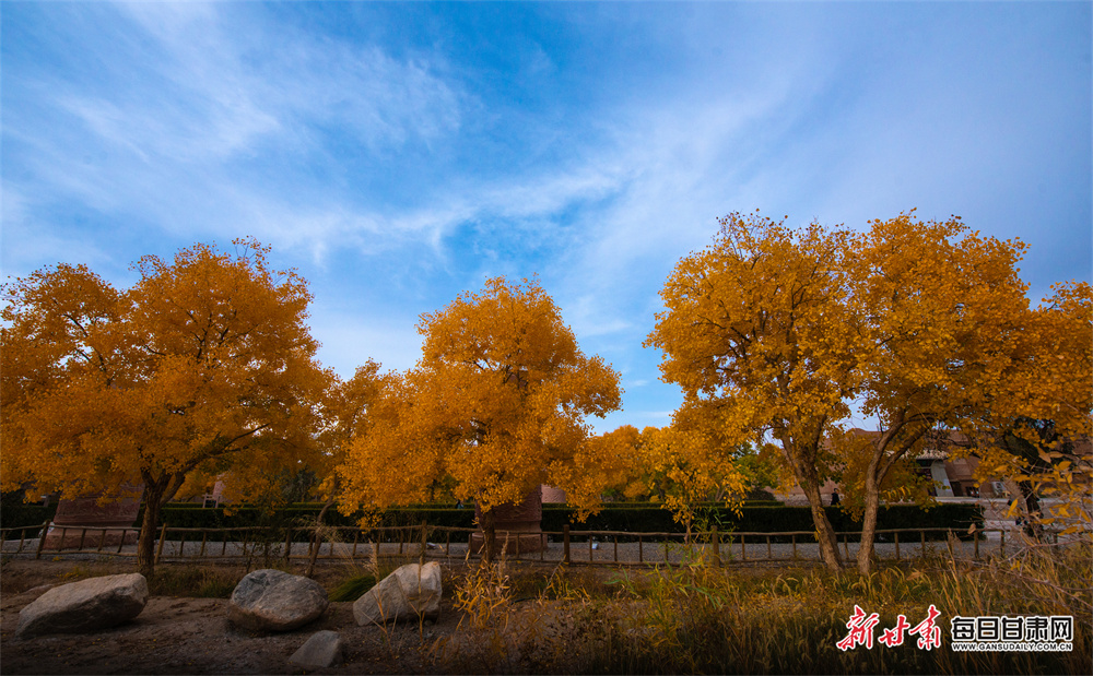 神舟十九号10月下旬发射，神舟十八号乘组即将返回	 ！