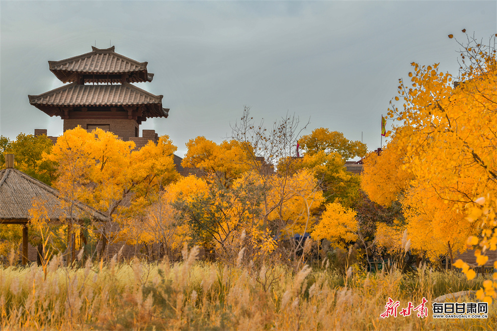 'Don't deport us over health issue' say couple