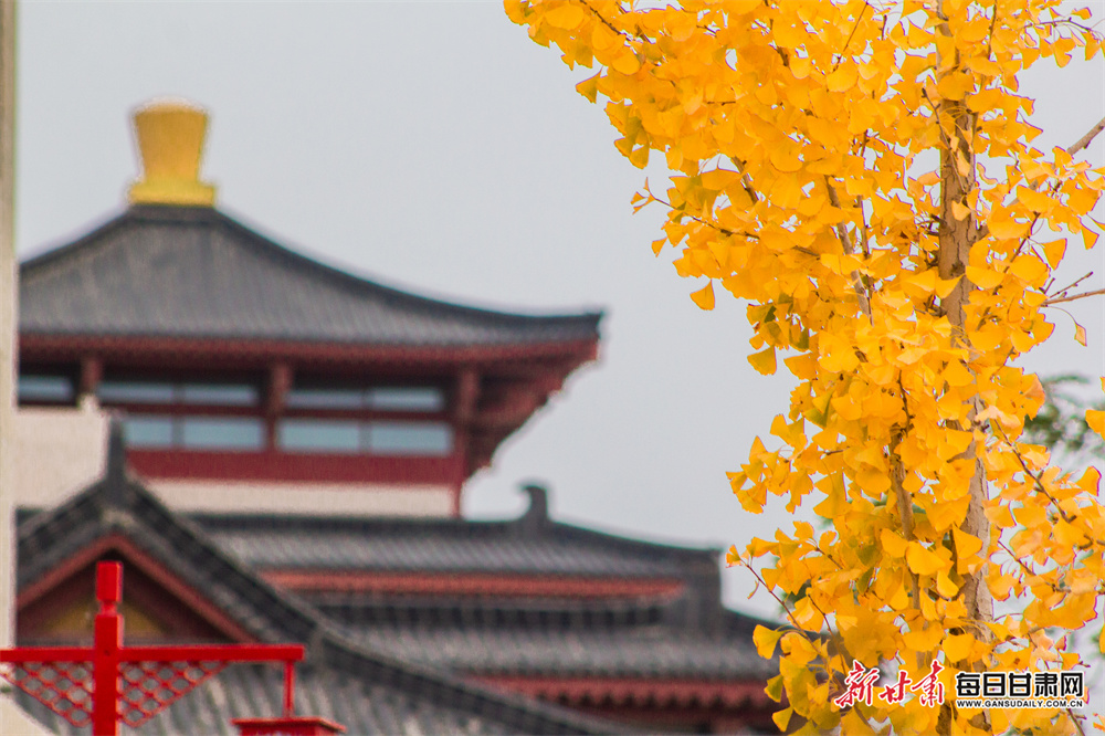 Using AI could save council ￡60m, says report