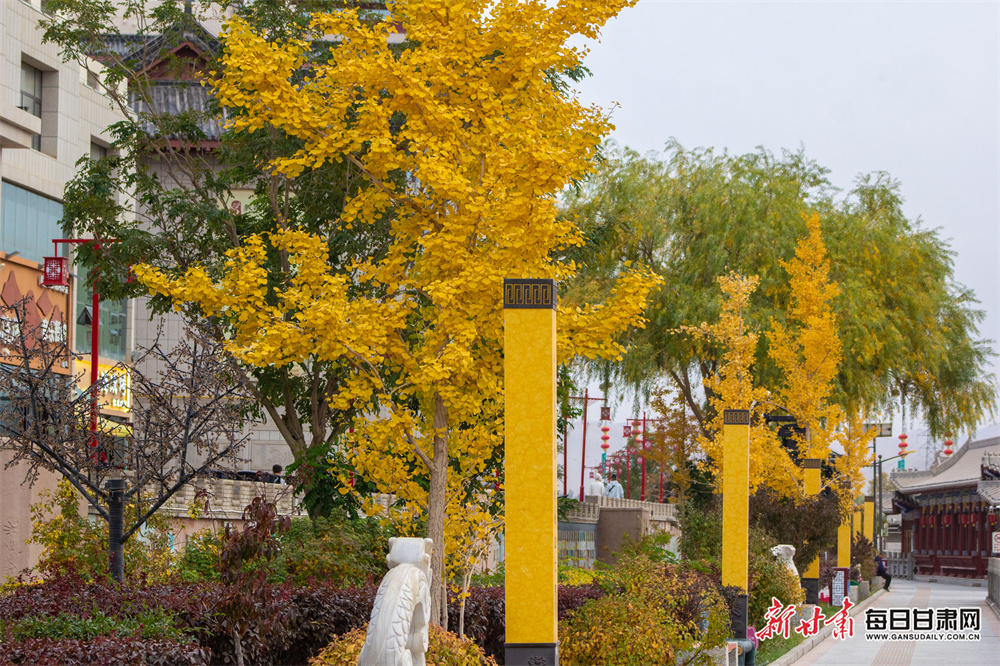 保利城一期（泉州保利城一期）