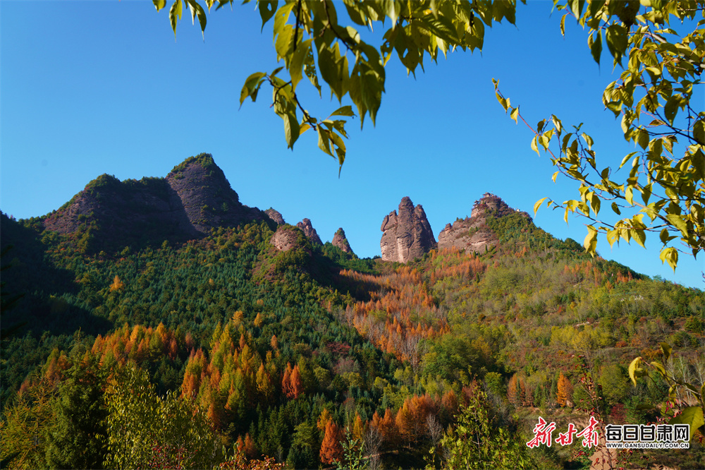 Wigan Warriors full-back Field signs new contract