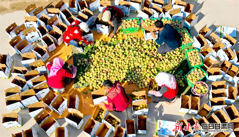 World Athletics approves gender eligibility test