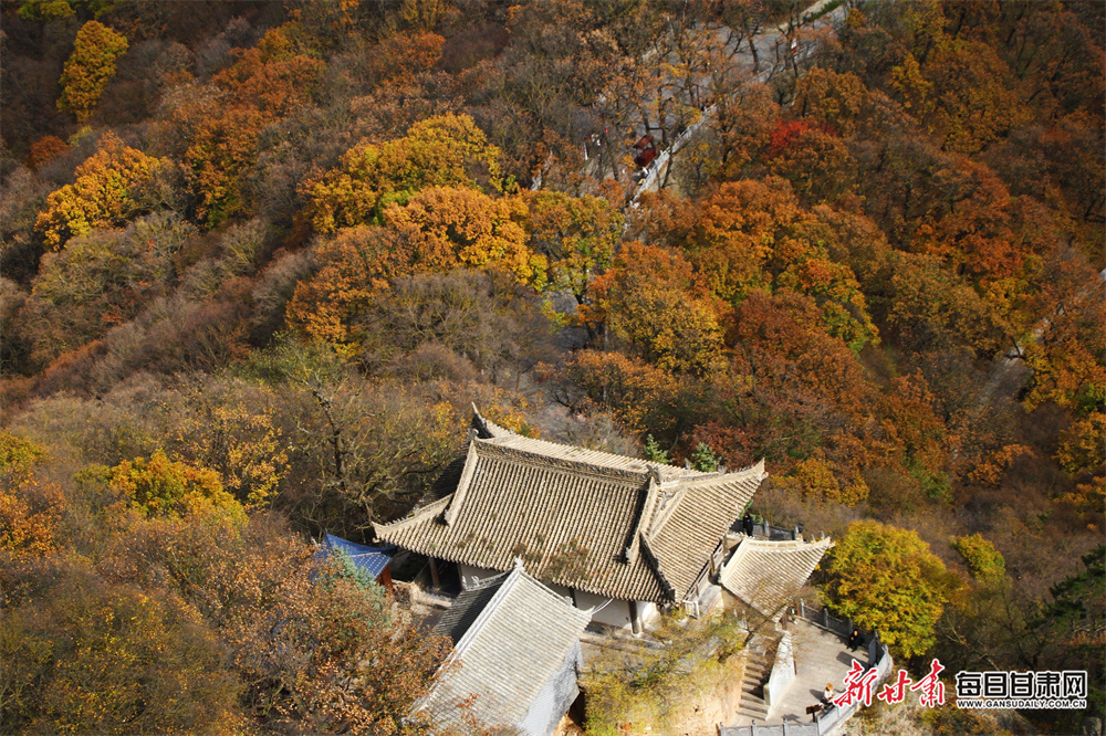 金秀贤金赛纶亲吻照曝光，家属称其15岁与金秀贤交往6年，低于韩国性同意年龄