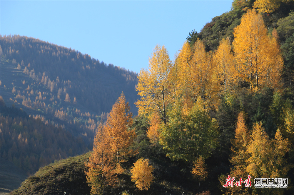 马拉松邂逅樱花季，中国移动全球通打造“跑马+美景+科技”特色体验