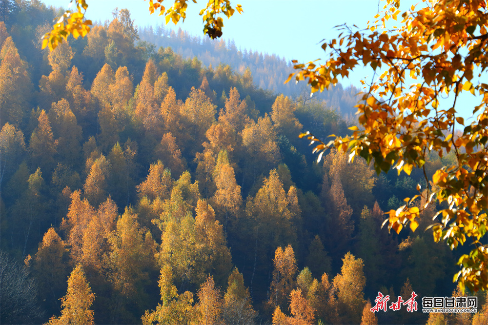 出租平房小院（出租平房小院防城港）