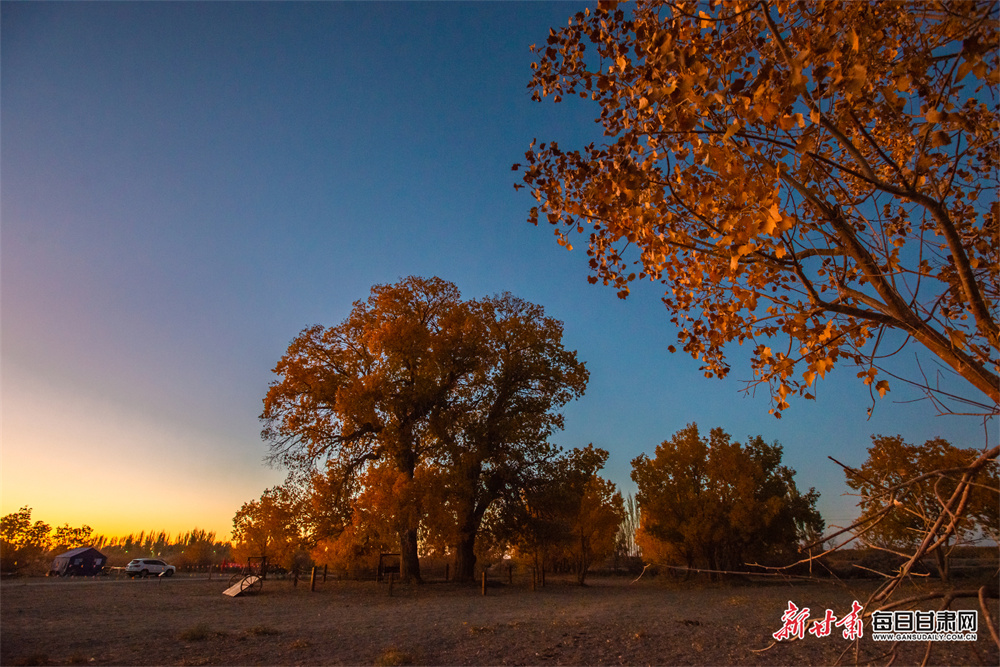 武汉青山钢花村街道：社企共建，为小区添新绿
