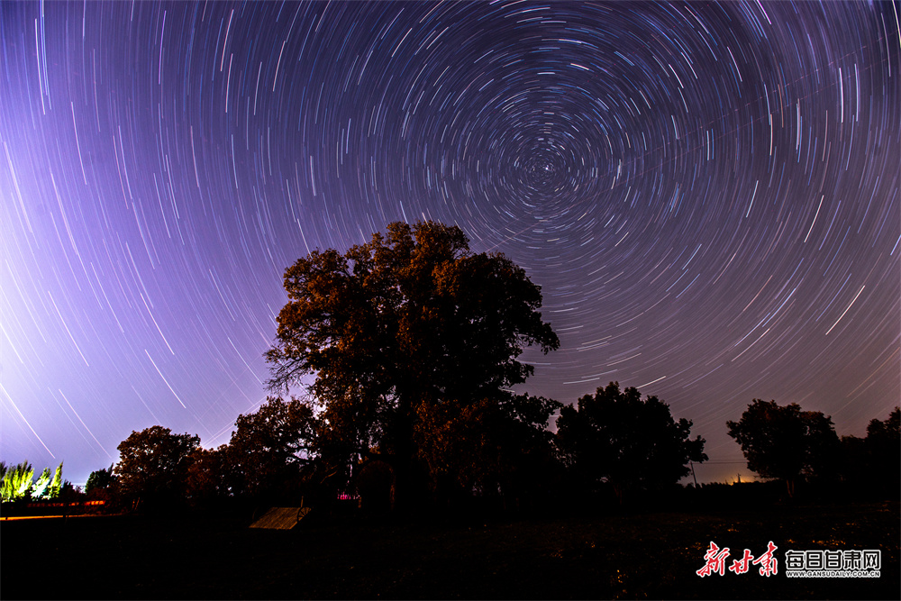 国际旅行达人安娜：武大的樱花就像粉色海洋
