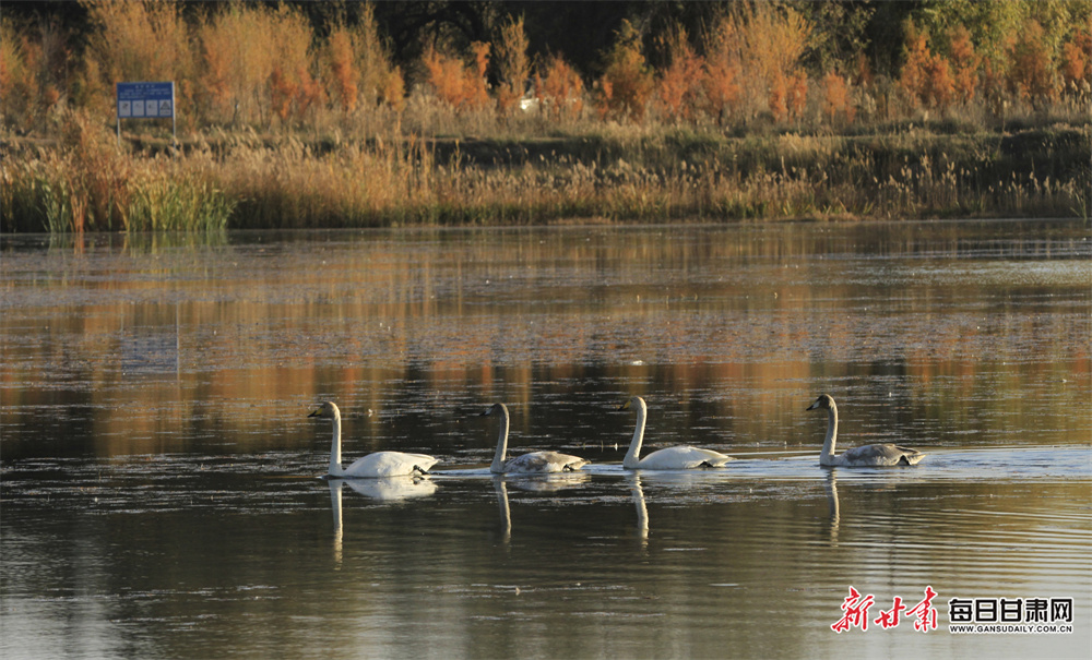 'Ban coaches to help prevent head-on-head tackles'