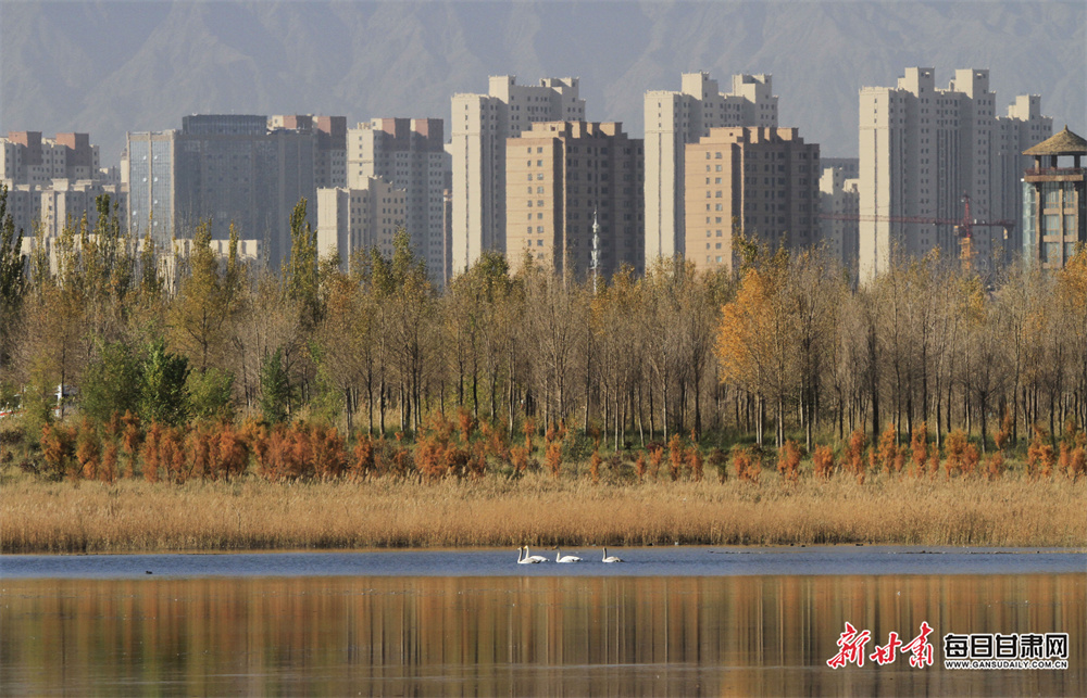 花都楼盘有哪些正在售卖（花都最新楼盘有哪些）
