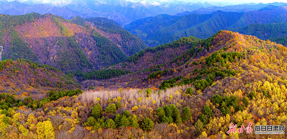 Asma Khan shares her kitchen game plan for Eid