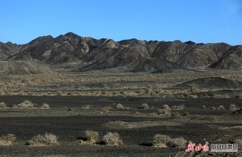 No contact over England white-ball captaincy - Billings