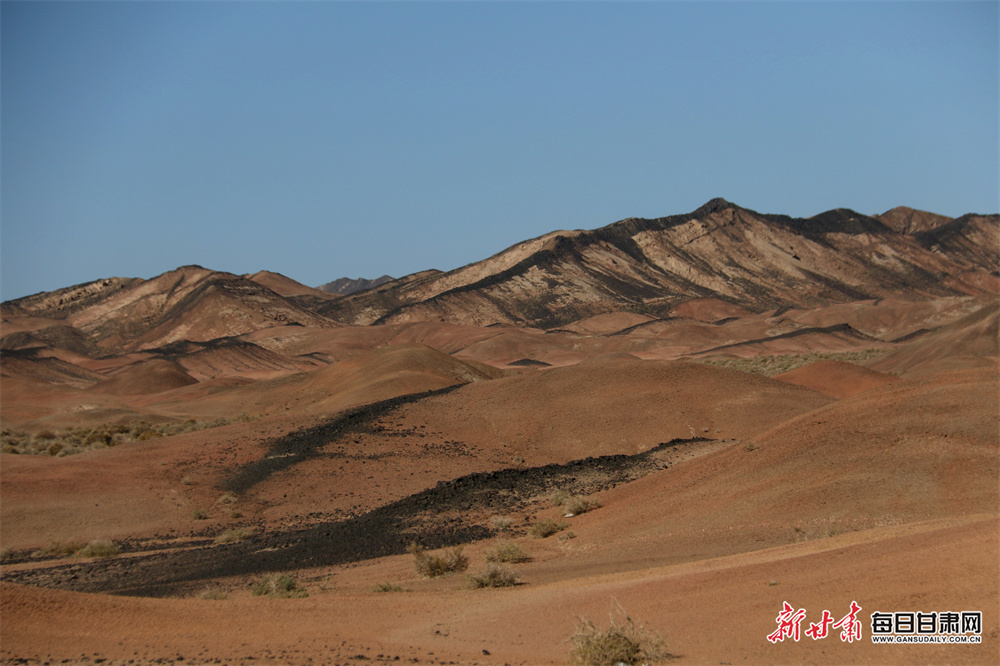 村支书找人假冒村民签字，将165亩山林“过户”给自己公司，后高价转让被判撤销登记
