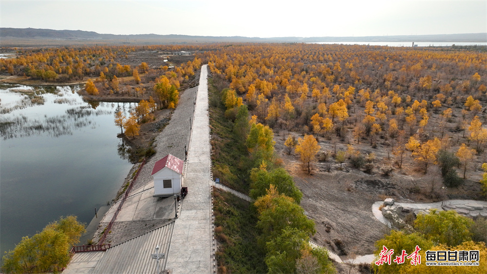 Man jailed for violent attack on police officer
