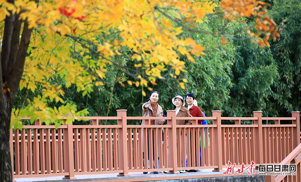 附近个人出租房子一室一厅（附近个人出租房2室一厅出租）