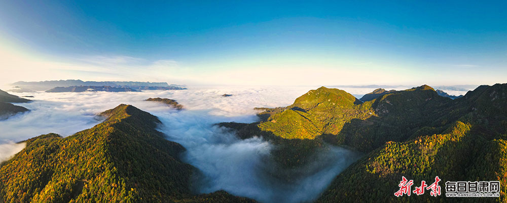 Blood brothers - bonds and betrayal on a rugby pitch