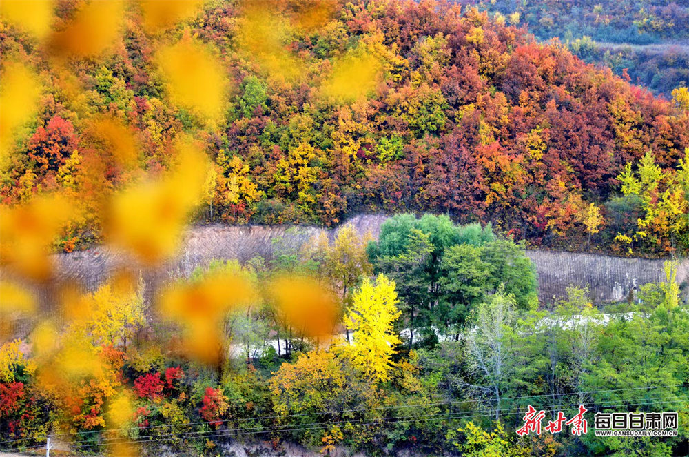 GB's Richardson adds individual sprint gold to team title