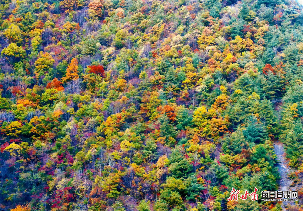 Crash death families urge people to stop and think before posting online