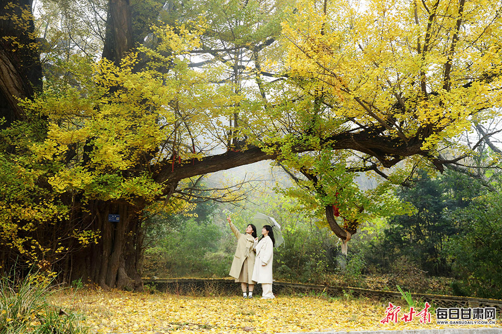 快尝尝！这种被誉为“最善良”的春天水果 吃起来让人很快乐