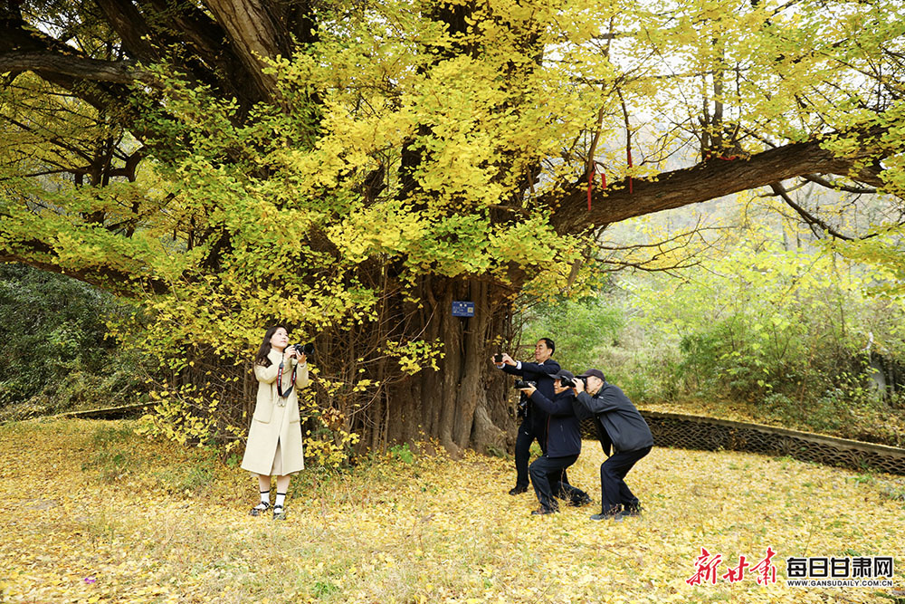 二手物品交易网站（二手产品交易平台）