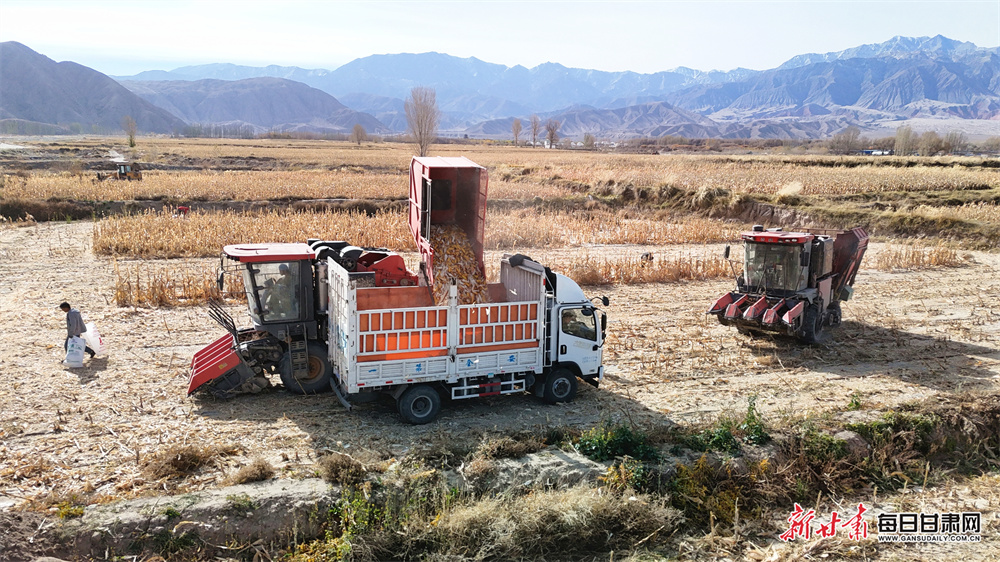 BBC confirms post-split live Irish Premiership matches