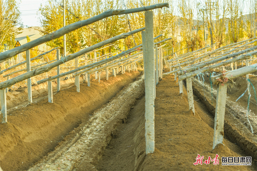 韩官员:日本排海在所难免