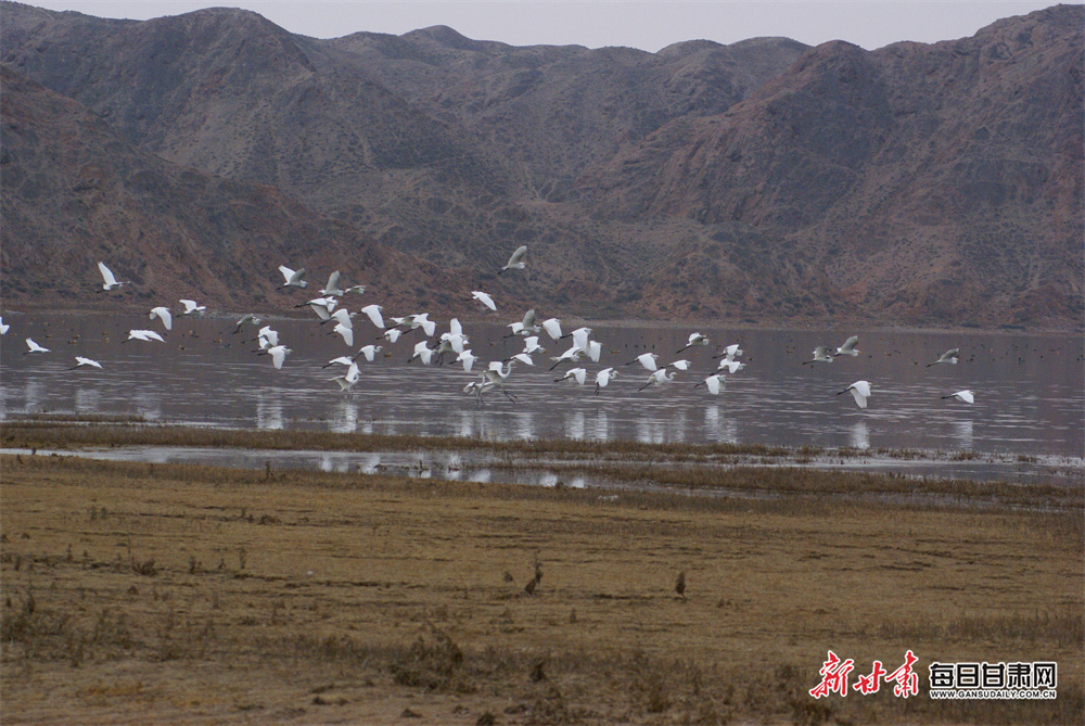 万科城市花园值得买吗（长沙万科城市花园值得买吗）