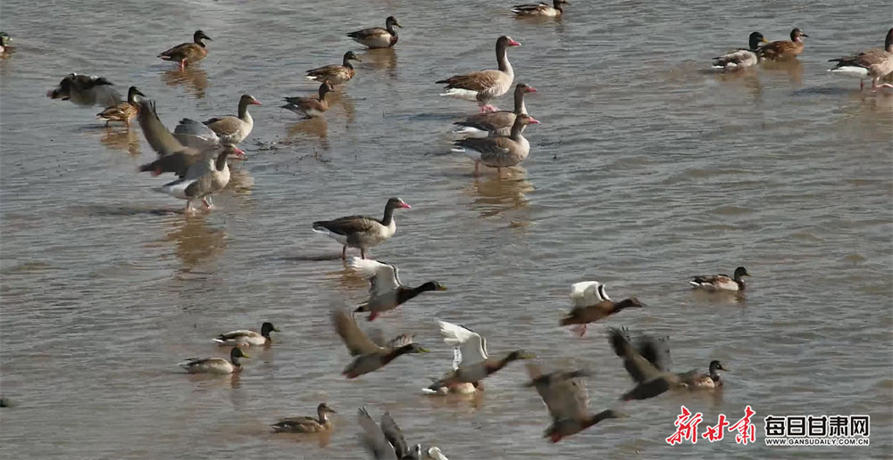 Lakers well beaten by Bulls on James return