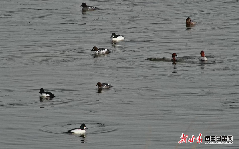 Lakers well beaten by Bulls on James return