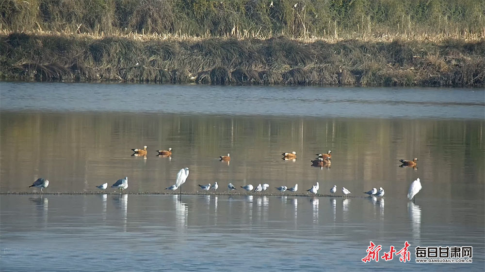 Humphries beaten in sixth Players Championship final