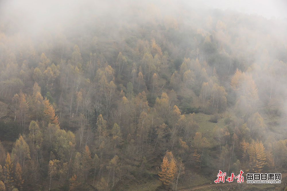 兴隆县二手房（新繁二手房房价）