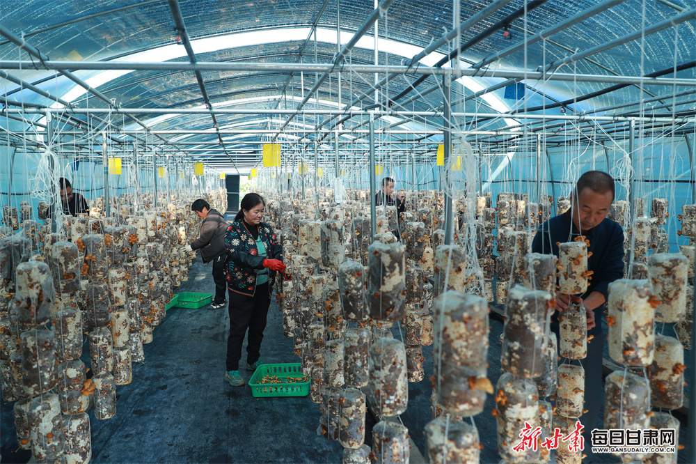 AI offers 'generational opportunity' for schools