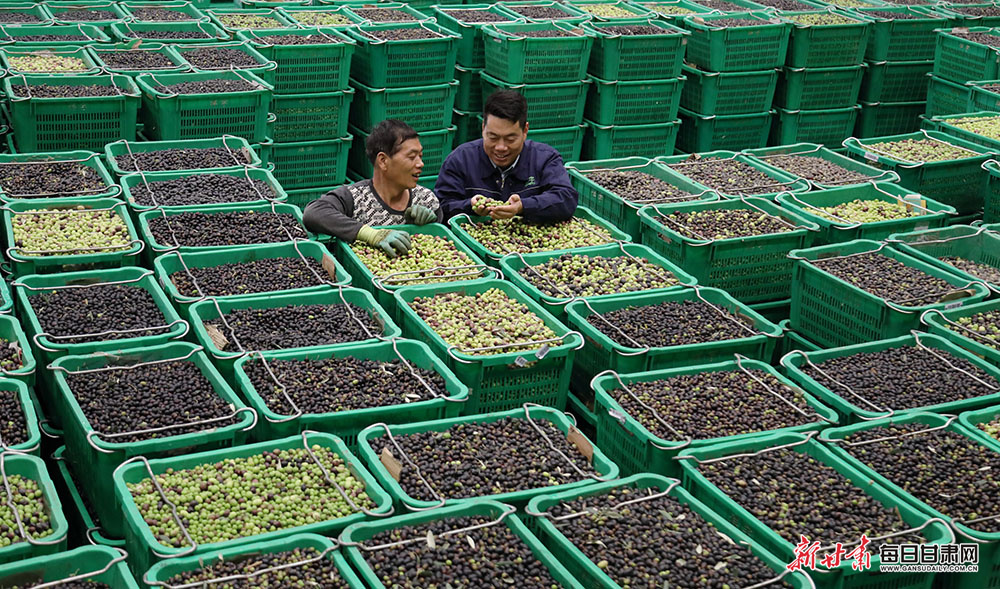 塔克什肯口岸前2月进出口53万吨货物 同比增长51.6%