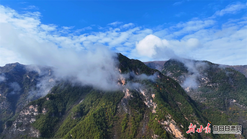 Crayfish industry boosts rural revitalization in Xuyi County, E China's Jiangsu