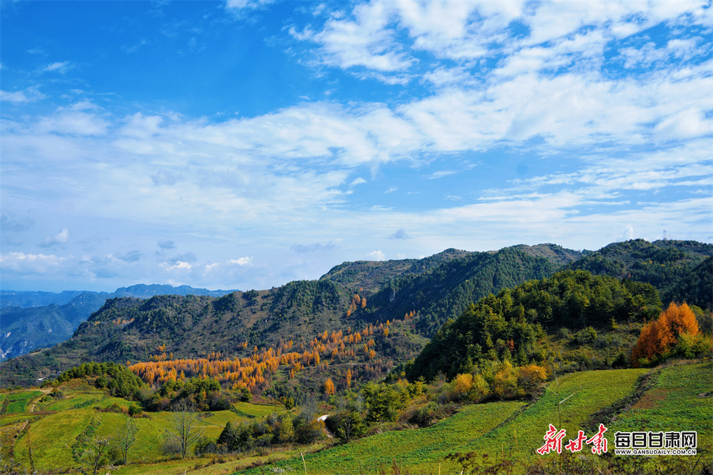 新华解码|农村高额彩礼怎么破？2025年中央一号文件强调这个词