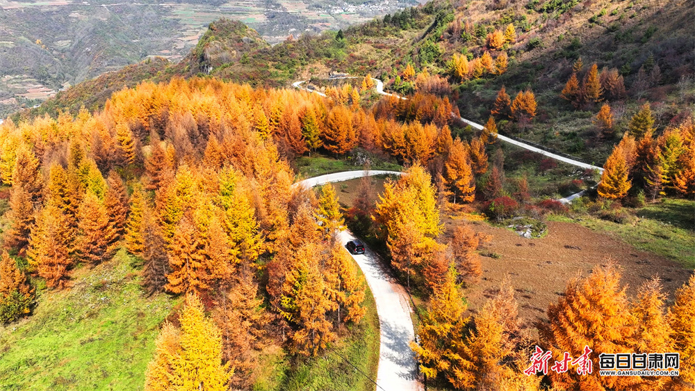 OnlyFans fined over user age-check information failings