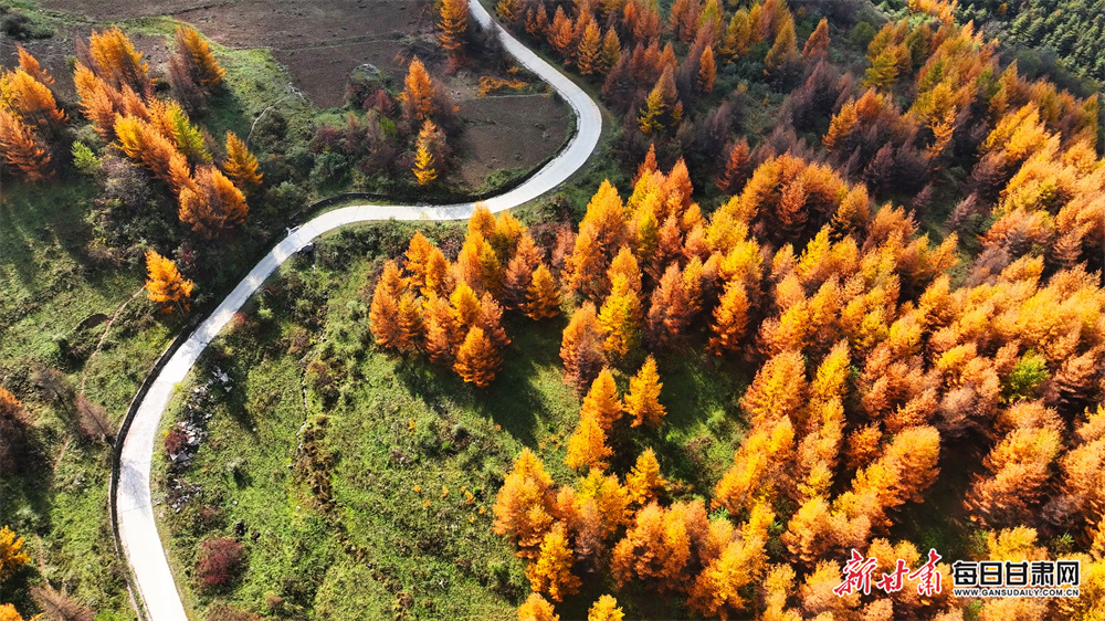 智能电视如何安装软件，当贝市场教你搞定