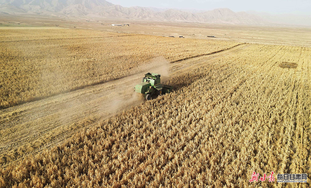 编钟、编磬演奏《小星星》，这所小学“走进博物馆”