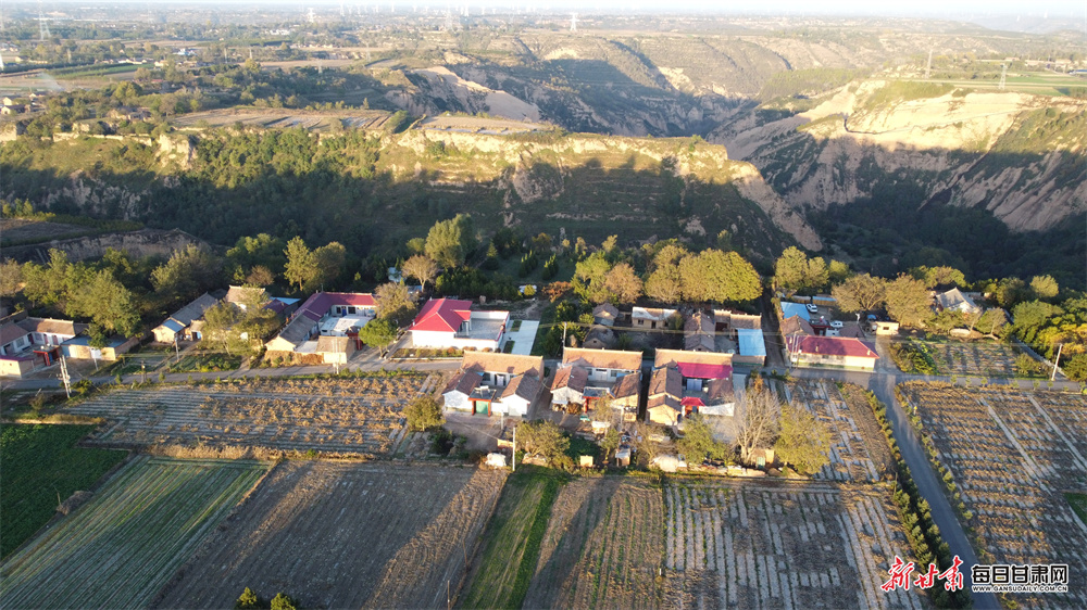 The influencers who want America to procreate faster - and believe the White House is on their side