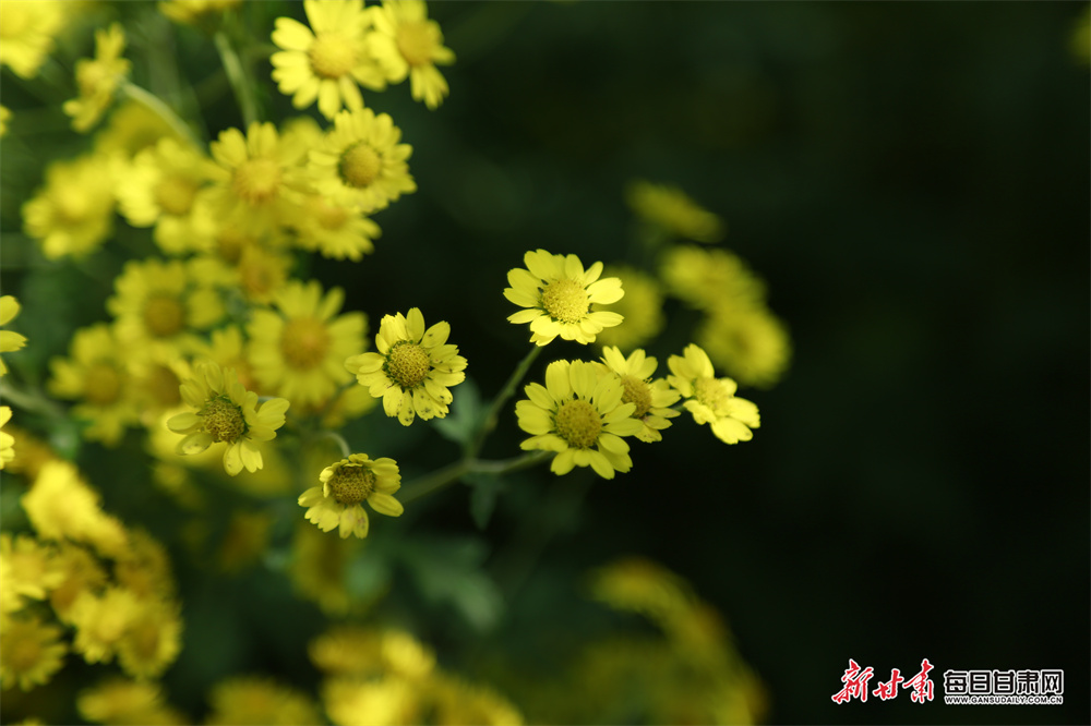 Police shoot man dead at railway station