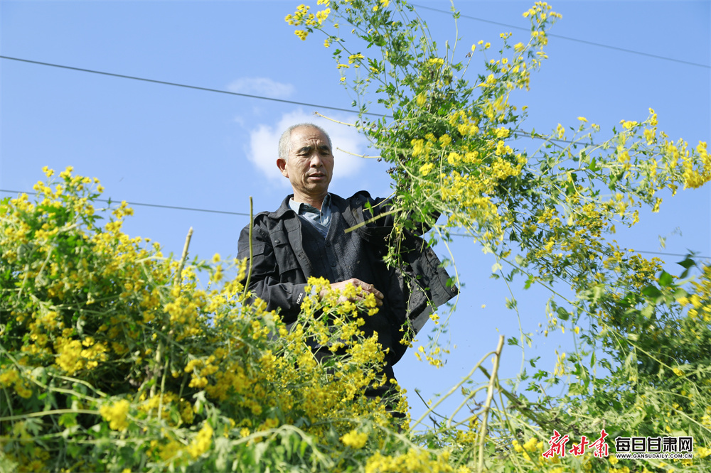 收藏资讯《杨爱东：将开展“清明祭英烈”“红色九月”等褒扬纪念活动》解说文案