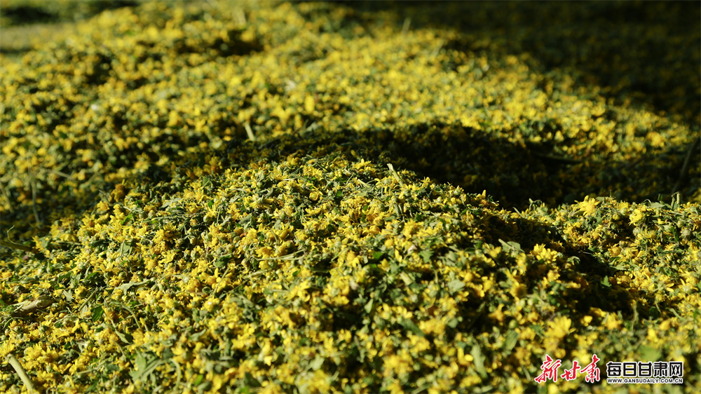 A $90m litmus test - Wisconsin court vote becomes referendum on Musk